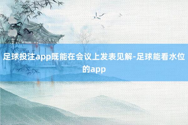 足球投注app既能在会议上发表见解-足球能看水位的app