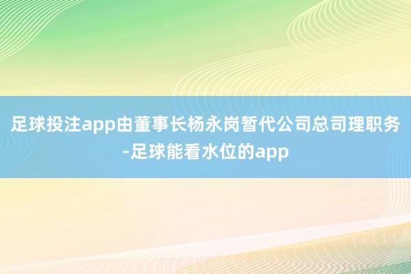 足球投注app由董事长杨永岗暂代公司总司理职务-足球能看水位的app