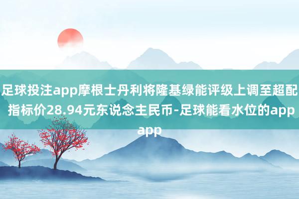 足球投注app摩根士丹利将隆基绿能评级上调至超配 指标价28.94元东说念主民币-足球能看水位的app