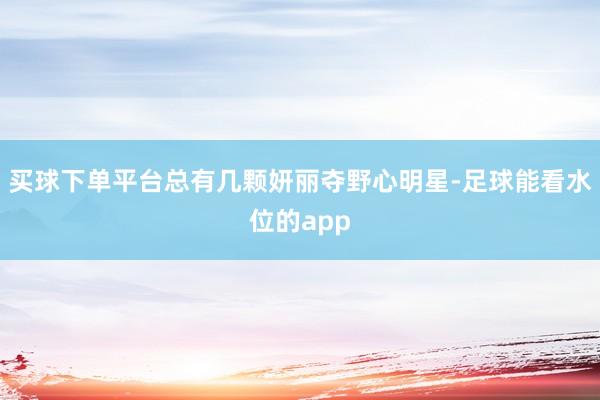 买球下单平台总有几颗妍丽夺野心明星-足球能看水位的app