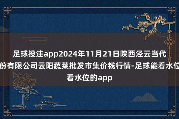足球投注app2024年11月21日陕西泾云当代农业股份有限公司云阳蔬菜批发市集价钱行情-足球能看水位的app