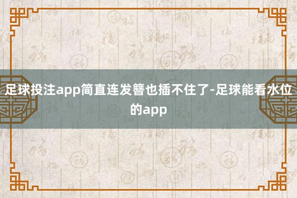 足球投注app简直连发簪也插不住了-足球能看水位的app