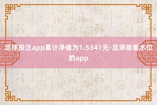足球投注app累计净值为1.5341元-足球能看水位的app