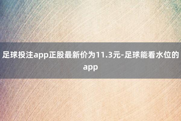 足球投注app正股最新价为11.3元-足球能看水位的app