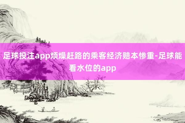足球投注app烦燥赶路的乘客经济赔本惨重-足球能看水位的app