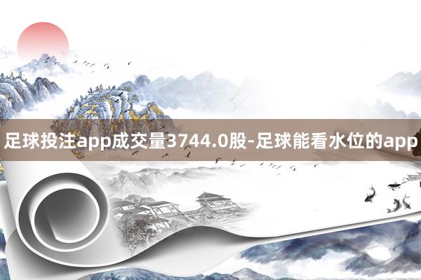 足球投注app成交量3744.0股-足球能看水位的app