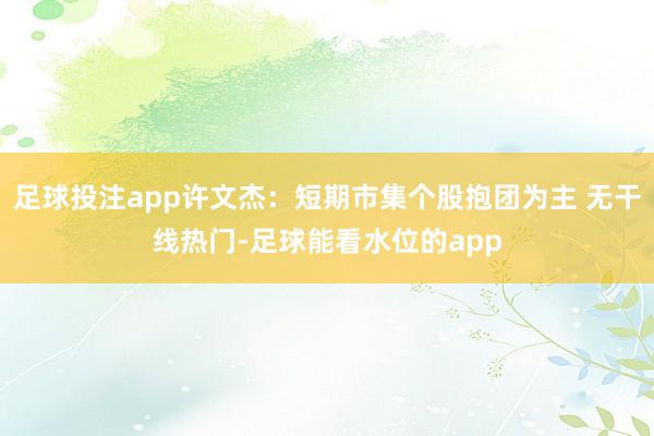 足球投注app许文杰：短期市集个股抱团为主 无干线热门-足球能看水位的app