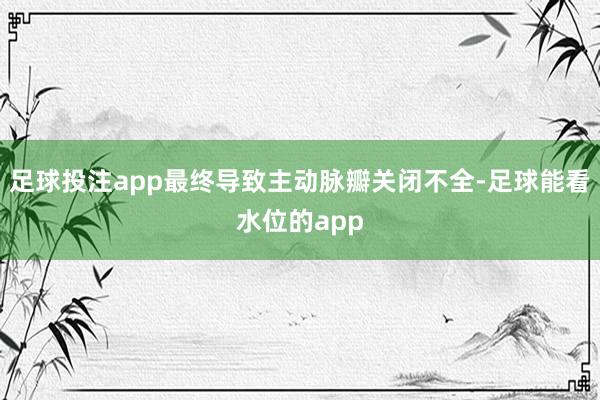 足球投注app最终导致主动脉瓣关闭不全-足球能看水位的app
