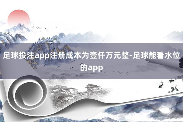 足球投注app注册成本为壹仟万元整-足球能看水位的app