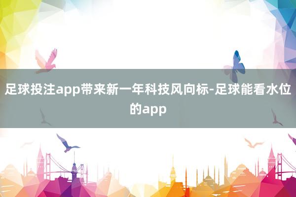 足球投注app带来新一年科技风向标-足球能看水位的app
