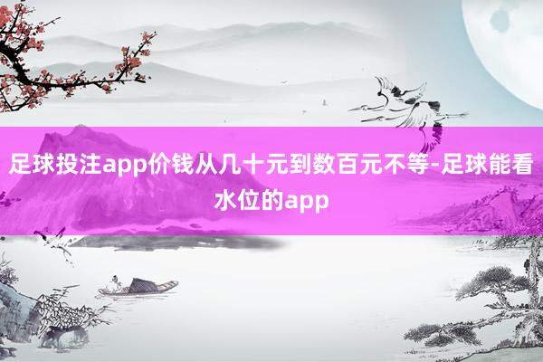 足球投注app价钱从几十元到数百元不等-足球能看水位的app