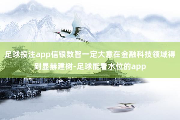 足球投注app信银数智一定大意在金融科技领域得到显赫建树-足球能看水位的app