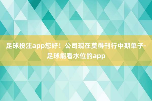 足球投注app您好！公司现在莫得刊行中期单子-足球能看水位的app