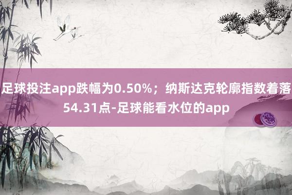 足球投注app跌幅为0.50%；纳斯达克轮廓指数着落54.31点-足球能看水位的app