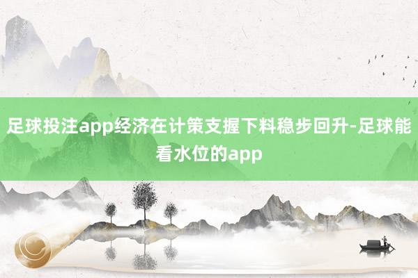 足球投注app经济在计策支握下料稳步回升-足球能看水位的app