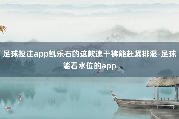 足球投注app凯乐石的这款速干裤能赶紧排湿-足球能看水位的app