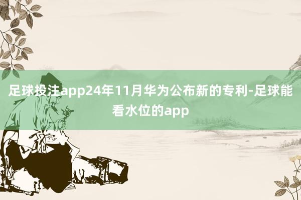 足球投注app24年11月华为公布新的专利-足球能看水位的app