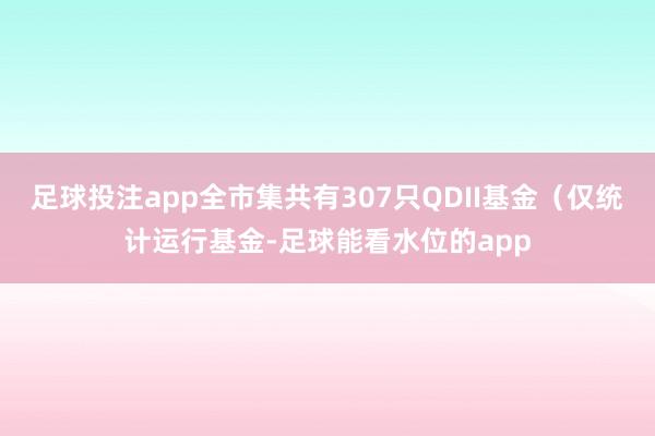 足球投注app全市集共有307只QDII基金（仅统计运行基金-足球能看水位的app