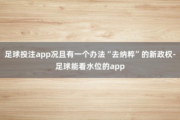 足球投注app况且有一个办法“去纳粹”的新政权-足球能看水位的app
