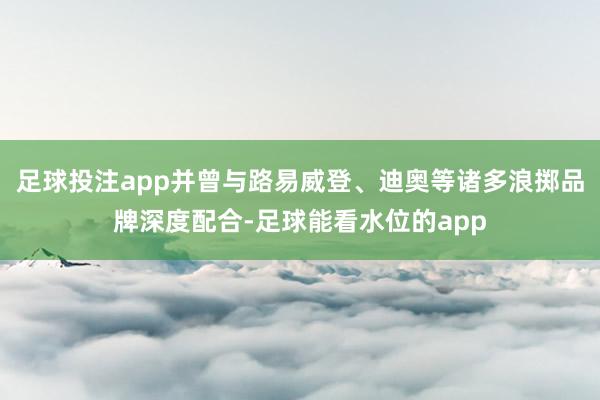 足球投注app并曾与路易威登、迪奥等诸多浪掷品牌深度配合-足球能看水位的app