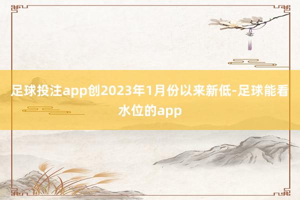 足球投注app创2023年1月份以来新低-足球能看水位的app