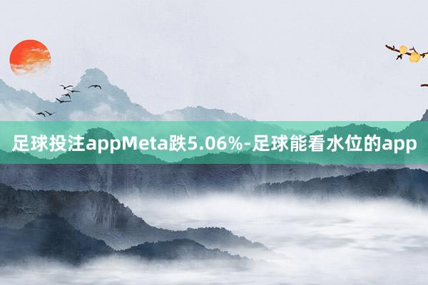 足球投注appMeta跌5.06%-足球能看水位的app