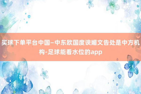 买球下单平台中国—中东欧国度谀媚文告处是中方机构-足球能看水位的app