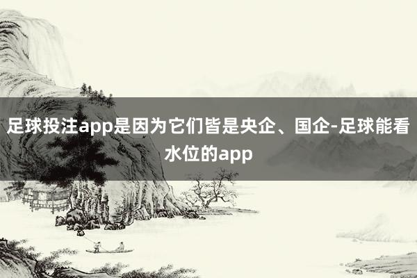 足球投注app是因为它们皆是央企、国企-足球能看水位的app