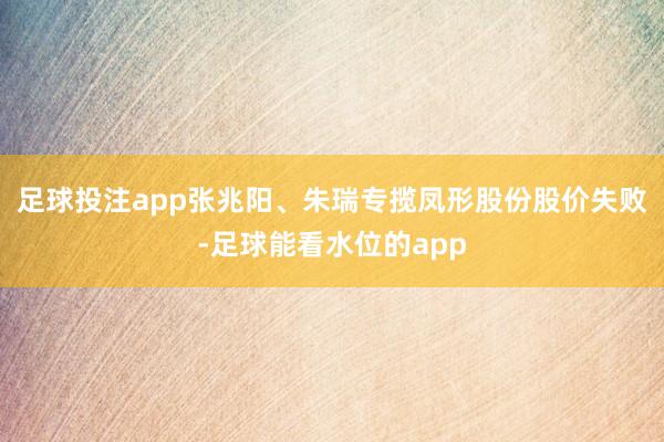 足球投注app张兆阳、朱瑞专揽凤形股份股价失败-足球能看水位的app