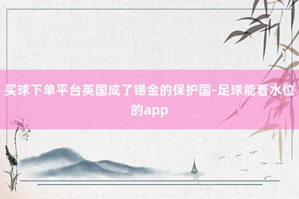 买球下单平台英国成了锡金的保护国-足球能看水位的app