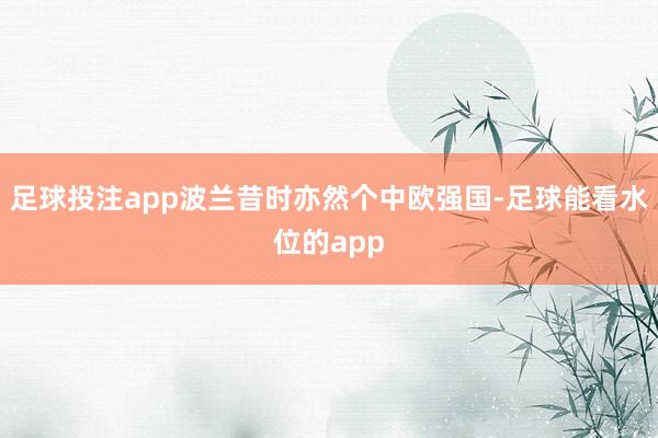 足球投注app波兰昔时亦然个中欧强国-足球能看水位的app