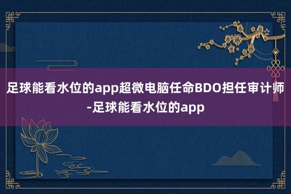足球能看水位的app超微电脑任命BDO担任审计师-足球能看水位的app