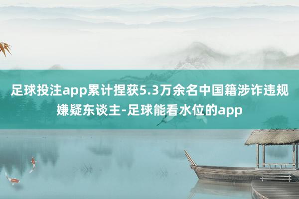 足球投注app累计捏获5.3万余名中国籍涉诈违规嫌疑东谈主-足球能看水位的app