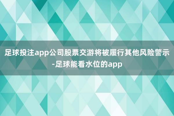 足球投注app公司股票交游将被履行其他风险警示-足球能看水位的app