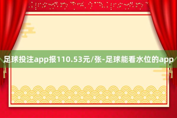足球投注app报110.53元/张-足球能看水位的app