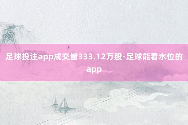 足球投注app成交量333.12万股-足球能看水位的app