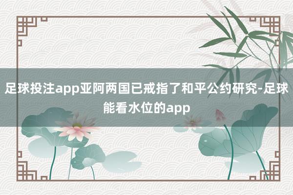 足球投注app亚阿两国已戒指了和平公约研究-足球能看水位的app