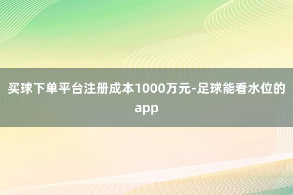 买球下单平台注册成本1000万元-足球能看水位的app