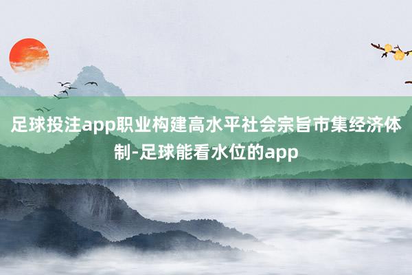 足球投注app职业构建高水平社会宗旨市集经济体制-足球能看水位的app