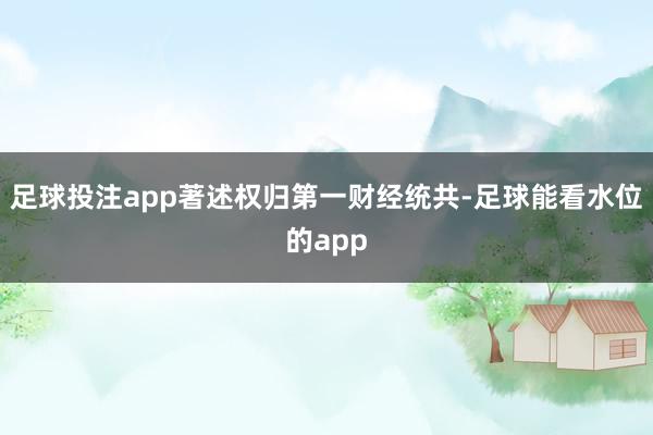 足球投注app著述权归第一财经统共-足球能看水位的app