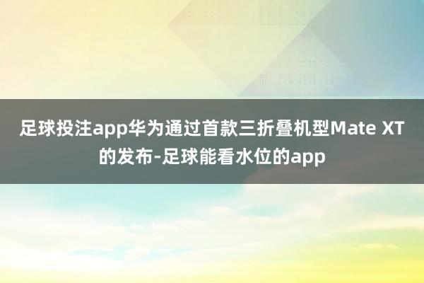 足球投注app华为通过首款三折叠机型Mate XT的发布-足球能看水位的app