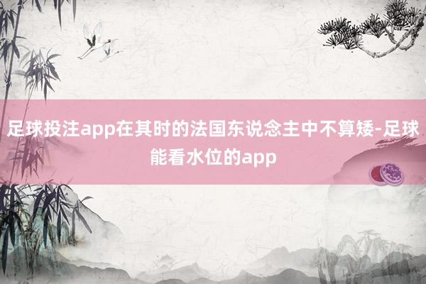 足球投注app在其时的法国东说念主中不算矮-足球能看水位的app