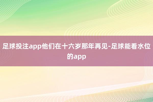 足球投注app他们在十六岁那年再见-足球能看水位的app