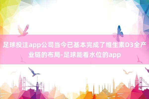 足球投注app公司当今已基本完成了维生素D3全产业链的布局-足球能看水位的app
