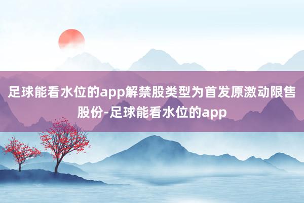 足球能看水位的app解禁股类型为首发原激动限售股份-足球能看水位的app