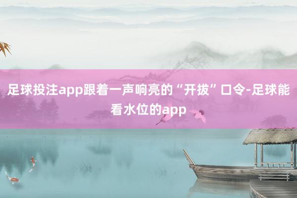 足球投注app跟着一声响亮的“开拔”口令-足球能看水位的app
