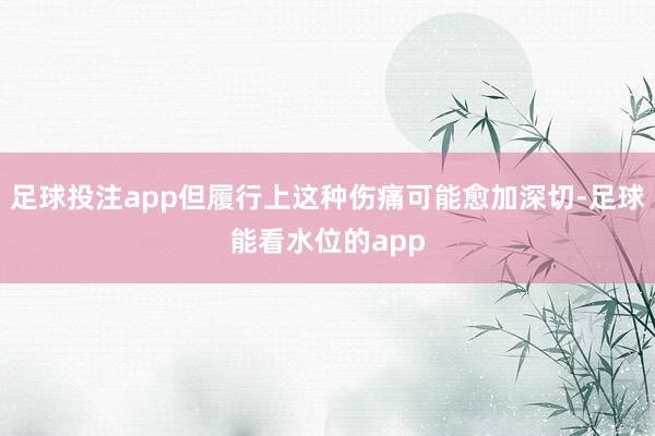 足球投注app但履行上这种伤痛可能愈加深切-足球能看水位的app