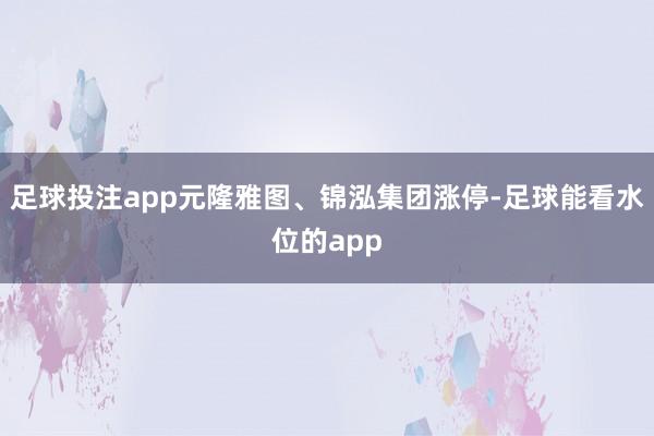 足球投注app元隆雅图、锦泓集团涨停-足球能看水位的app