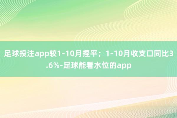 足球投注app较1-10月捏平；1-10月收支口同比3.6%-足球能看水位的app