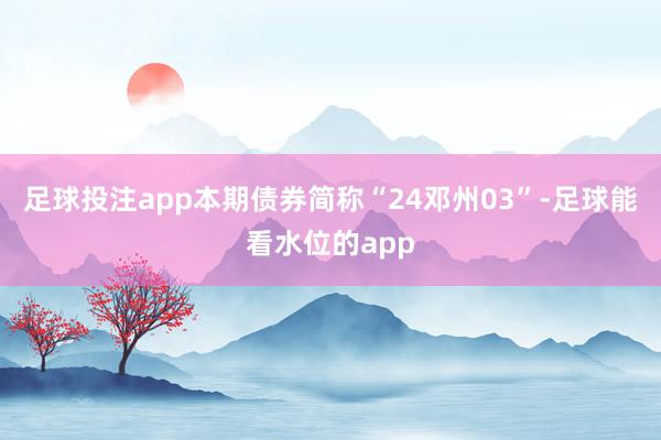足球投注app　　本期债券简称“24邓州03”-足球能看水位的app